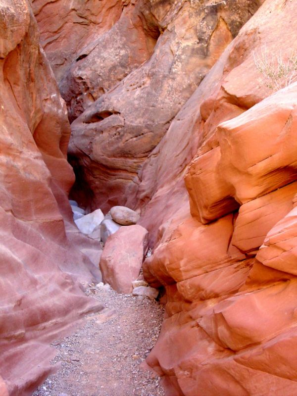 04160302LittleWildHorse (1051)